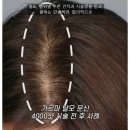 디비전 스칼프 이미지