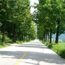 부귀농협주유소 이미지