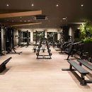 하이랙스 선릉점 이미지