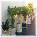 서울닥터한치과의원 이미지