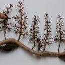 인천나비공원 이미지