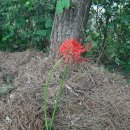 농소운동장 이미지