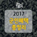 코리아 워킹홀리데이 (+군대 개꿀 추가~) 이미지