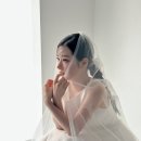 노멀샵 이미지