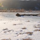 화려한외출투