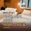 샴푸호텔 | 부평감성숙소 출장 호텔 추천 이상한스테이 부평점 닌텐도 시네마스위트룸 후기