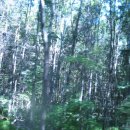 호프마을 이미지