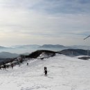 새하얀목장 이미지