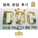 원독 | 공주강아지분양 허위광고 없는 실제분양후기 원독!!