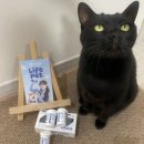 (주)이해라이프스타일 | 💙라이프펫 / 고양이오메가3 / 강아지오메가3 / 반려동물 영양제 추천 / event 안내💙