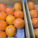 광산구-038 이미지