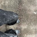 다온보담 이미지