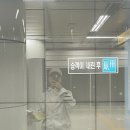 2025 대청호 벚꽃길 마라톤 대회🌸 | 10K 첫 마라톤 후기