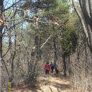 원효정사 이미지