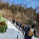 한울목장 | 평창 대관령 선자령(1517미터) 산행후기(2025.3.15.토)