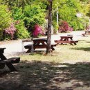 계곡여행펜션 이미지