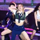 미레도