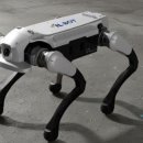 네온테크 이미지