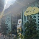 유어가든 | 평일 점심에도 만석! 중구 유어가든 솔직 후기
