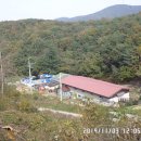 콩각시농원
