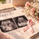 한유약국 | 유방암 1기 진단은 어떻게 진행될까? 검사 순서와 결과 총정리