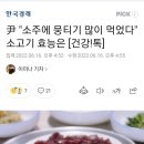 尹 "소주에 뭉티기 많이 먹었다" 소고기 효능은 [건강!톡] 이미지