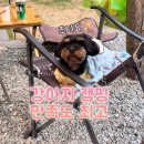 그자리 | 차박하려다 제대로 캠핑하고 왔어요🐶⛺ 그자리야영장 후기