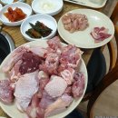 ok사슴목장 이미지