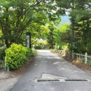 유명산258 이미지