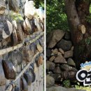 교실 속 책여행(B) 이미지