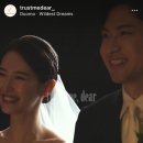 트러스트미디어