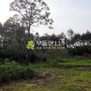 오수리농장 이미지