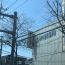 현대자동차양산점 이미지