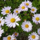 서흥농장 이미지