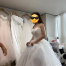 선경세탁 | 숨고 웨딩헬퍼 진희이모님 촬영드레스 피팅 후기 👗