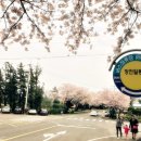 장전알동네 네이버블로그