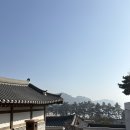 하늘1 | 호텔 어라이브 태안 탼 한옥 비치 리조트 하늘 1 후기, 일상에서 쉼이 필요할때 한옥 호캉스, 태안 감성...