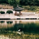 성북퀵서비스 이미지