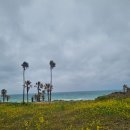 갤러리노래연습장 | 제주 함덕 가볼만한곳 소노벨 제주 숙박 후기! 가족 여행 숙소로 딱이야!