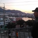 동백여행사