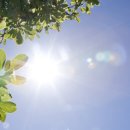 햇빛투게더 이미지