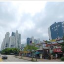 별망초앞 이미지