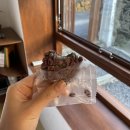 제주시 오메기떡 최애 맛집, 담백한 &lt;대원오메기떡&gt; 단골 후기