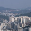 진성회계법인 이미지