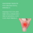 세일정형외과 이미지