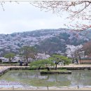 호암미술관 이미지