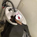 대륙사우나 | [강릉] 강릉미용실 라움에서 1:1 두피진단 / 집중케어 받고 왔어요 💆🏻‍♀️💈✨ (두피확대사진 충격 😱)