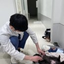 아이들 동물병원 이미지