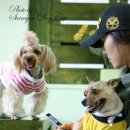 카페소민