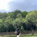 영석목장 이미지